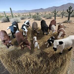 Bundle of 11 pieces Schleigh Hand Painted Farm Animal Cows Toy Figurines